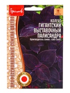 Семена цветов Колеус Гигантский Выставочный Палисандра (Giant Exhibition Palisandra) 3 шт.  12.29 г. - фото 69173374