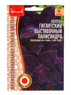 Семена цветов Колеус Гигантский Выставочный Палисандра (Giant Exhibition Palisandra) 3 шт.  12.29 г.