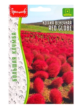 Семена цветов Кохия Red Globe венечная  0,1 г.  12.29 г.  (артикул 10967319)  большой выбор товаров оптом и в розницу по низким ценам с доставкой