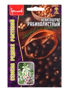 Семена Ксантоцерас «Рябинолистный», «Чекалкин орех», 2 шт., «Григорьев» - Фото 3