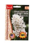 Семена цветов Лаванда Ellagance Snow узколистная  5шт.  12.29 г. - фото 809454592