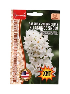 Семена цветов Лаванда Ellagance Snow узколистная  5шт.  12.29 г.