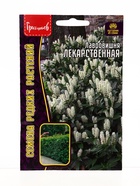 Семена цветов Лавровишня Лекарственная 3 шт. / НОВИНКА  12.29 г. - фото 68177167