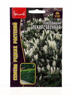 Семена цветов Лавровишня Лекарственная 3 шт. / НОВИНКА  12.29 г.