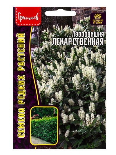 Семена цветов Лавровишня «Лекарственная», 3 шт. «Григорьев»