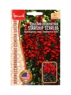 Семена цветов Лобелия Starship Scarlet  3 драже  12.29 г. - фото 809454604