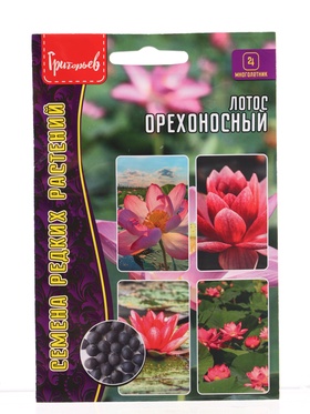 Семена цветов Лотос Орехоносный  2 шт.  12.29 г.
