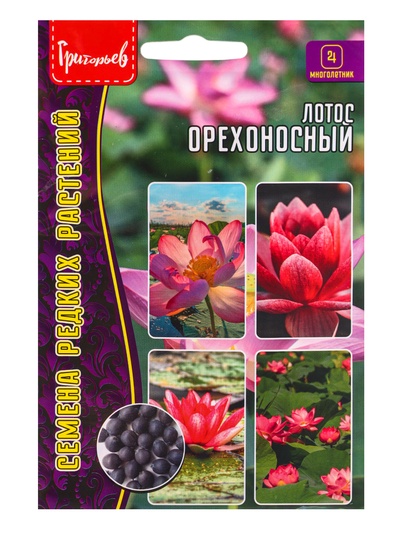 Семена цветов Лотос Орехоносный  2 шт.  12.29 г.