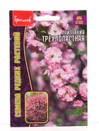 Семена цветов Луизеания Трёхлопастная (Миндаль)  3шт.  12.29 г. - фото 809454608