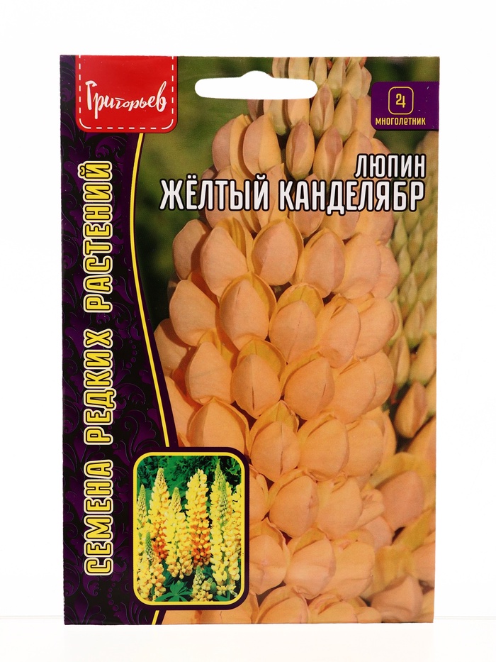 Семена цветов Люпин Жёлтый Канделябр многолетний  14 шт.  12.29 г. - Фото 1