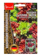 Семена цветов Молодило Цыпочка - Хиппи  5драже   12.29 г. - фото 69173399