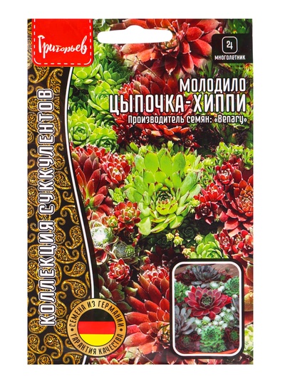 Семена цветов Молодило «Цыпочка - Хиппи», 5 драже, «Григорьев»