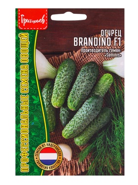 Семена Огурец Брандино F1 (Brandino) (Seminis) 5шт.  12.29 г.  (артикул 10967355)  большой выбор товаров оптом и в розницу по низким ценам с доставкой