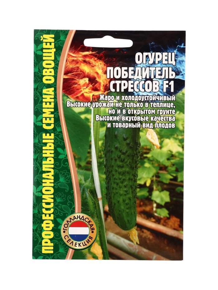 Семена Огурец Победитель Стрессов F1  5+1 шт.  12.29 г. - Фото 1