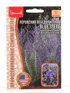 Семена цветов Перовския Blue Steel лебедолистная  3шт / НОВИНКА 12.29 г. - фото 809454714