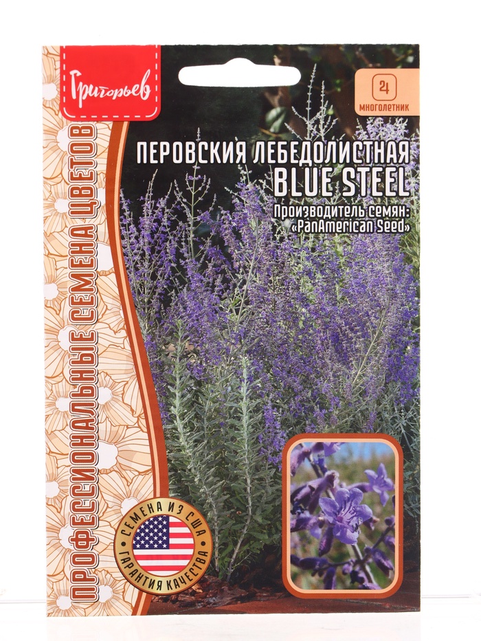 Семена цветов Перовския Blue Steel лебедолистная  3шт / НОВИНКА 12.29 г. - Фото 1