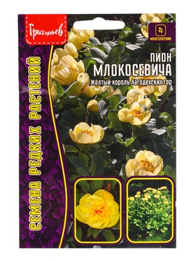 Семена цветов Пион Млокосевича  3шт.  12.29 г.