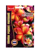 Семена цветов Плюмерия Три Короля  3 шт.  12.29 г. - фото 68177267