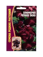 Семена цветов Плюмерия Черное Окно  3 шт.  12.29 г. - фото 809454724