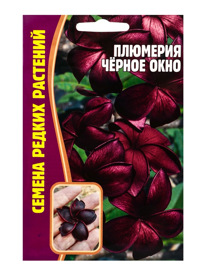 Семена цветов Плюмерия Черное Окно  3 шт.  12.29 г.