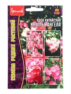 Семена цветов Роза Angel Wings китайская 7шт.  АКЦИЯ !!!  12.28 г. - Фото 3