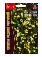 Семена цветов Роза Ксантина кустовая 10 шт.  12.29 г.  (артикул 10967422)  большой выбор товаров оптом и в розницу по низким ценам с доставкой
