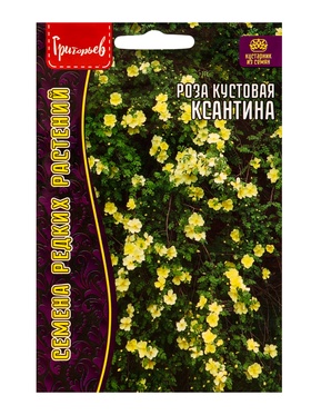 Семена цветов Роза Ксантина кустовая 10 шт.  12.29 г.  (артикул 10967422)  большой выбор товаров оптом и в розницу по низким ценам с доставкой