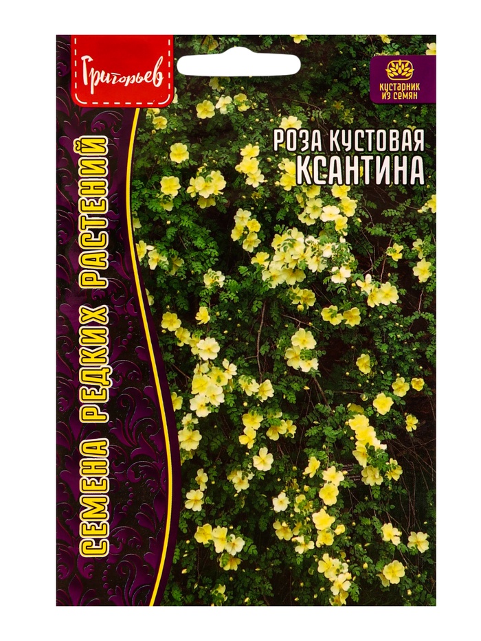 Семена цветов Роза Ксантина кустовая 10 шт.  12.29 г.