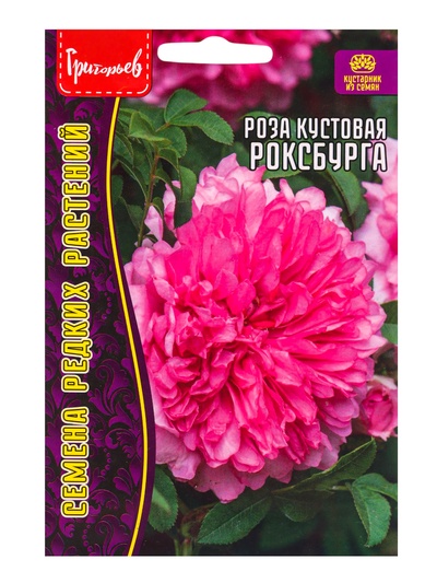 Семена цветов Роза Роксбурга кустовая 10 шт.  12.29 г.