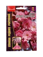 Семена цветов Сакура Вишня мелкопильчатая 5шт. / НОВИНКА  12.29 г. - фото 809454744