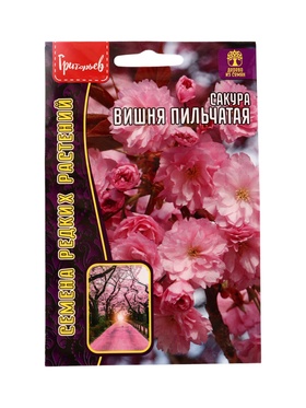 Семена цветов Сакура Вишня мелкопильчатая 5шт. / НОВИНКА  12.29 г.