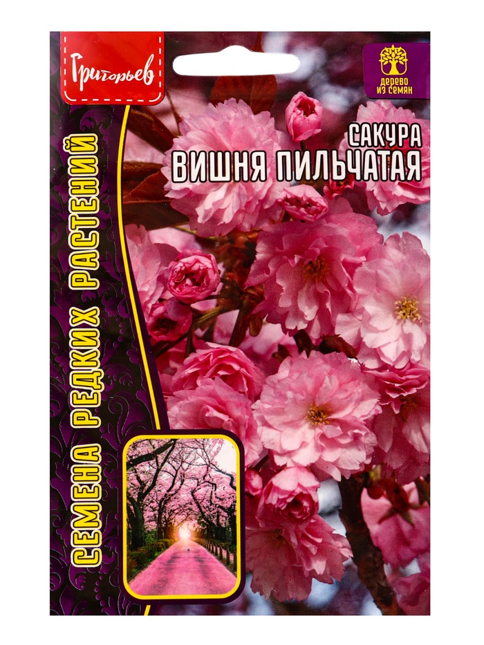 Семена цветов Сакура Вишня мелкопильчатая 5шт. / НОВИНКА  12.29 г.