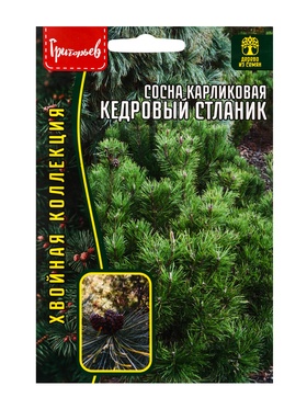Семена Сосна Кедровый Стланик карликовая 5 шт. 12.29 г.  (артикул 10967432)  большой выбор товаров оптом и в розницу по низким ценам с доставкой