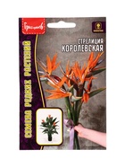 Семена цветов Стрелиция Королевская 3 шт. / НОВИНКА  12.29 г. - фото 809454764