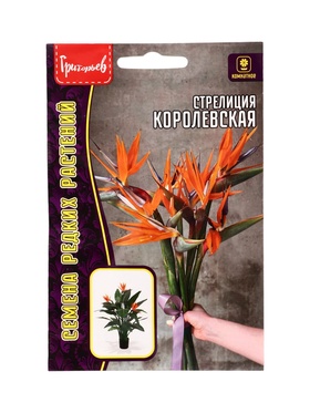Семена цветов Стрелиция Королевская 3 шт. / НОВИНКА  12.29 г.