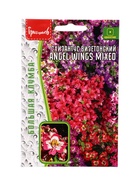 Семена цветов Схизантус Angel Wings Mixed визетонский 0,05г.  12.29 г. - Фото 1