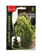 Семена цветов Туя Биота восточная  30 шт.  12.29 г. - фото 809454882