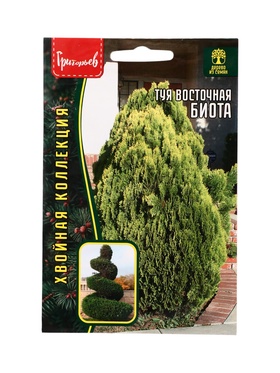 Семена цветов Туя Биота восточная  30 шт.  12.29 г.