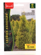 Семена цветов Туя Складчатая 0,1 г.  12.29 г. - фото 809454884