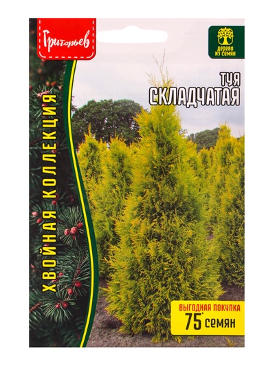 Семена Туя «Складчатая», 0.1 г, «Григорьев»