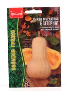 Семена Тыква Баттернат мускатная   5шт.  12.29 г. (комплект 2 шт) - фото 68177399