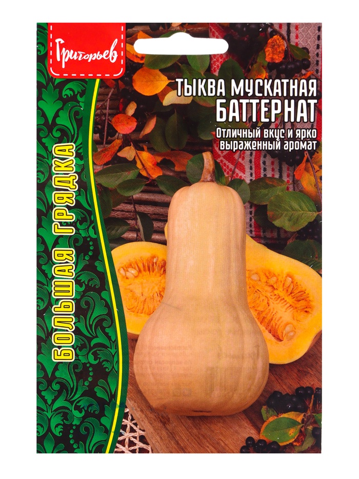 Семена Тыквы мускатной «Баттернат», 5 шт. «Григорьев» - Фото 1