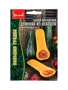Семена Тыква Длинная из Неаполя мускатная  (Lunga Di Napoli)  4 шт. / НОВИНКА 12.29 г. (комплект 2 шт) - фото 68177401