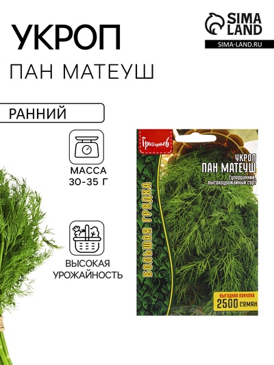 Семена Укроп Пан Матеуш (быстроотрастающий) ВП 2500 шт. 12.29 г.