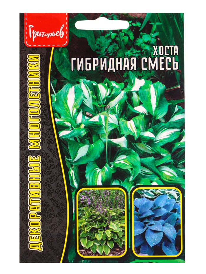 Семена цветов Хоста гибридная «Смесь», 0.02 г, «Григорьев» - Фото 1