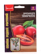 Семена цветов Цифомандра Тамарилло (Томатное дерево) 5шт.  12.29 г. - фото 809454902