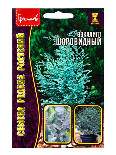Семена Эвкалипт Шаровидный 10шт. 12.29 г.