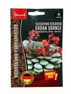 Семена цветов Эхеверия Urban Orange пекокка  5др.  12.29 г. - фото 809454910
