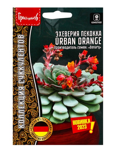 Семена цветов Эхеверия Urban Orange пекокка  5др.  12.29 г.