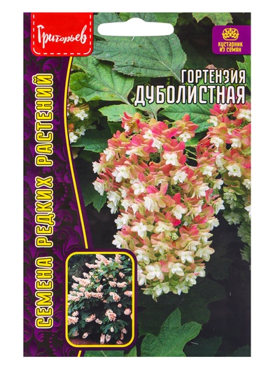 Семена цветов Гортензия Дуболистная 20 шт. 12.29 г.